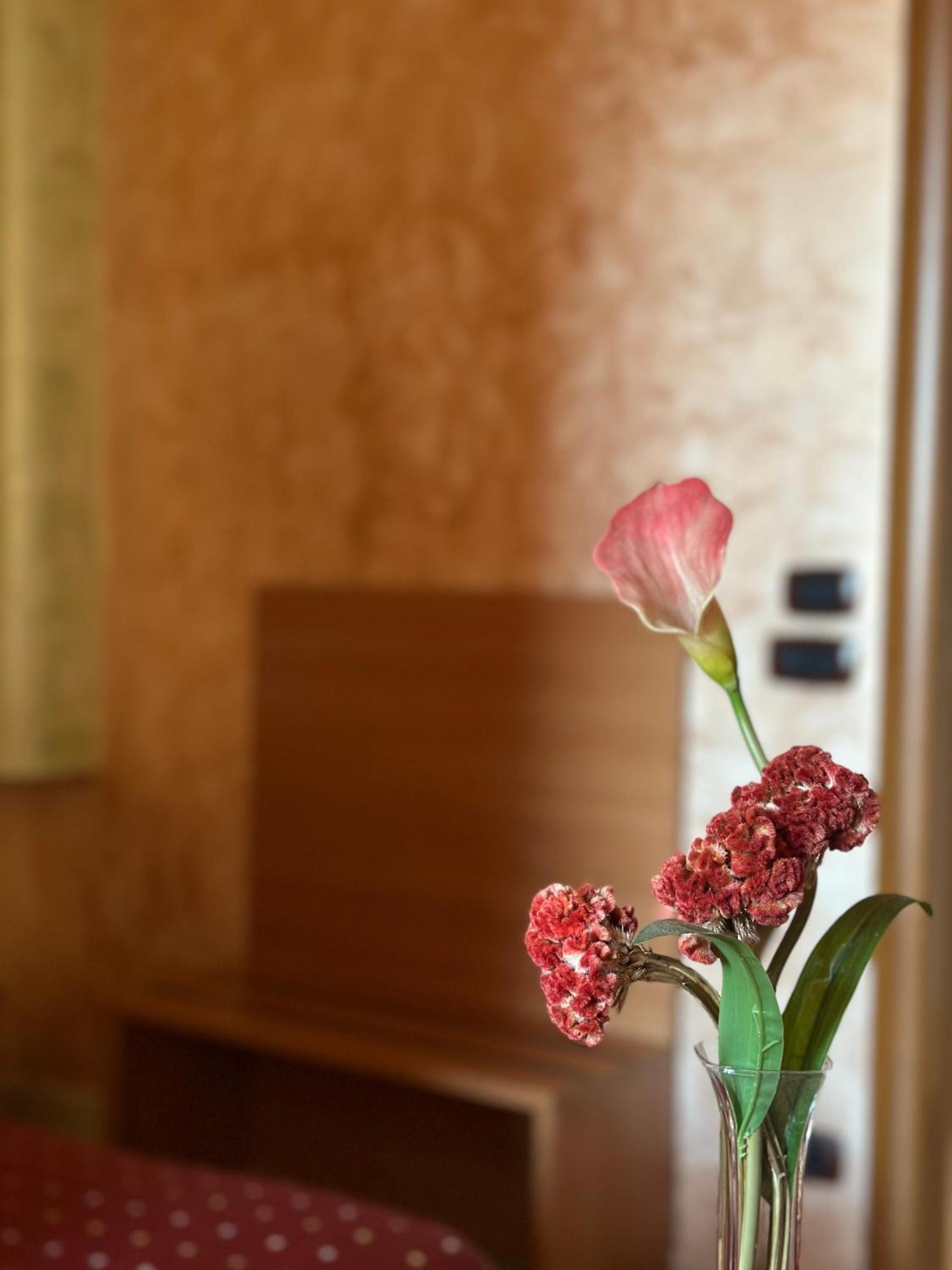 Hotel Il Giardino Degli Aranci Nola Kültér fotó
